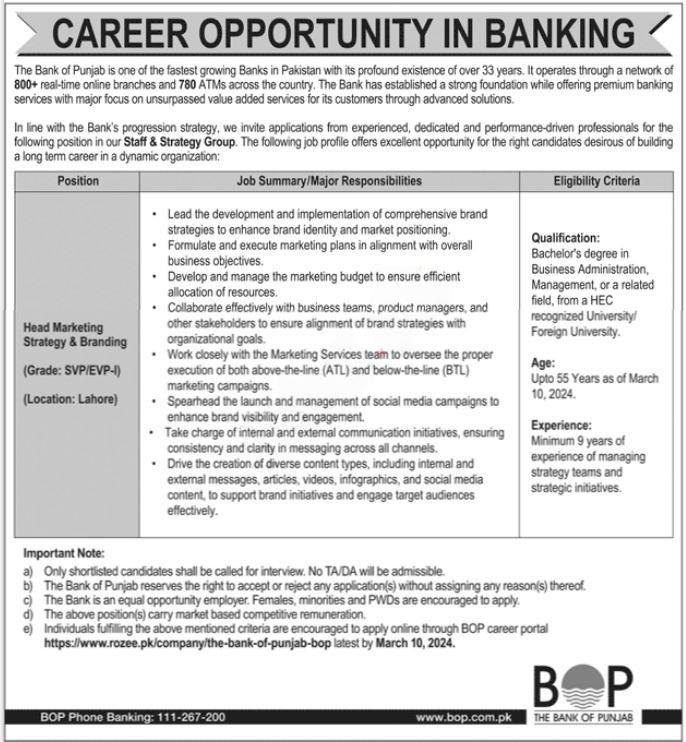 Latest Bank of Punjab Jobs in Pakistan 2024 | Online BOP APPLY