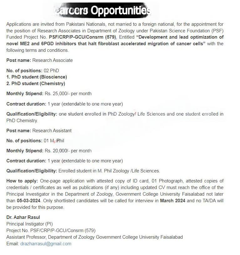 Research Associate Jobs 2024 AT GC University Faisalabad