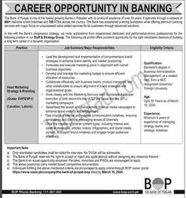 Jobs in Bank of Punjab 2024 Apply Online